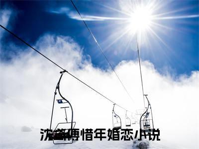 沈鸢傅惜年（沈鸢傅惜年）全文免费阅读无弹窗_沈鸢傅惜年最新小说_笔趣阁（沈鸢傅惜年）