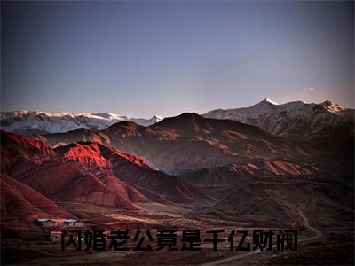 闪婚老公竟是千亿财阀（林烟陆沉渊）在哪免费看-小说（林烟陆沉渊）全文完整版免费阅读闪婚老公竟是千亿财阀