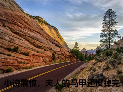 安暖陆之宴小说全文(震惊，夫人的马甲还没掉完)免费阅读全文无弹窗大结局_ 震惊，夫人的马甲还没掉完免费阅读无弹窗小说_笔趣阁