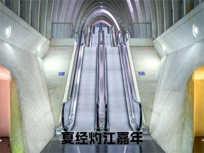 有机可乘最后结局如何，夏经灼江嘉年强推全文阅读无弹窗