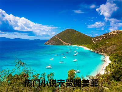 宋贺渊姜菲首发小说 宋贺渊姜菲在线阅读