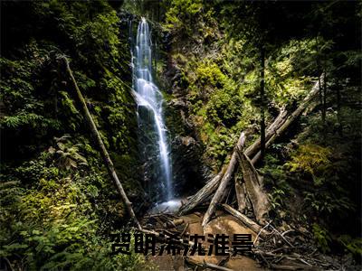 贺明浠沈淮景(贺明浠沈淮景)全文免费阅读无弹窗大结局_(贺明浠沈淮景)最新章节