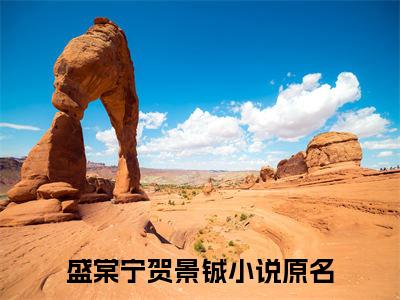 主角为盛棠宁贺景铖的言情小说讲的是什么-（盛棠宁贺景铖）小说在线阅读