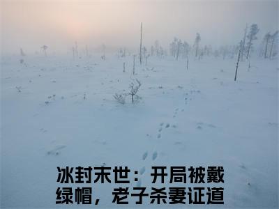 冰封末世：开局被戴绿帽，老子杀妻证道韩枫小说_冰封末世：开局被戴绿帽，老子杀妻证道韩枫全文阅读_小说免费阅读最新章节列表(冰封末世：开局被戴绿帽，老子杀妻证道韩枫)笔趣阁
