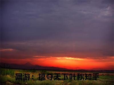 网游：掠夺天下叶秋全文免费阅读-主角为网游：掠夺天下叶秋的小说