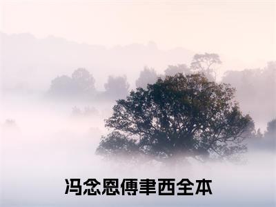 冯念恩傅聿西（误冬）小红书热荐小说-冯念恩傅聿西女生爱看的小说全集资源