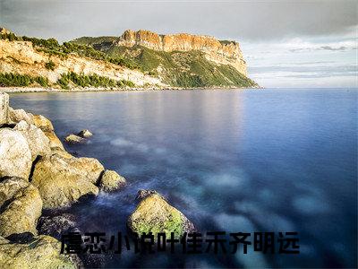 叶佳禾齐明远（叶佳禾齐明远）全文免费阅读无弹窗大结局_叶佳禾齐明远最新章节列表