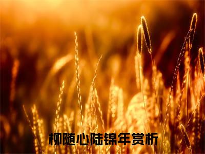 柳随心陆锦年全文免费阅读_（柳随心陆锦年免费阅读无弹窗）柳随心陆锦年最新章节列表笔趣阁（柳随心陆锦年）