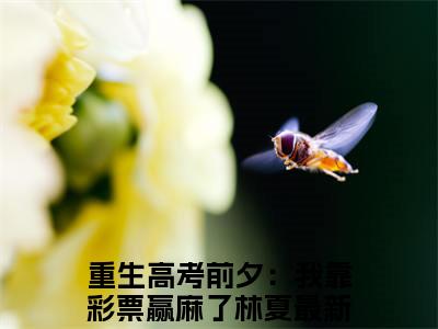 《重生高考前夕：我靠彩票赢麻了林夏》全文免费阅读无弹窗大结局_重生高考前夕：我靠彩票赢麻了林夏无弹窗全文阅读