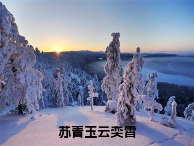 宠妾灭妻这首辅夫人我不当了(苏青玉云奕霄)小说全文免费阅读-宠妾灭妻这首辅夫人我不当了（苏青玉云奕霄）免费在线阅读完整版