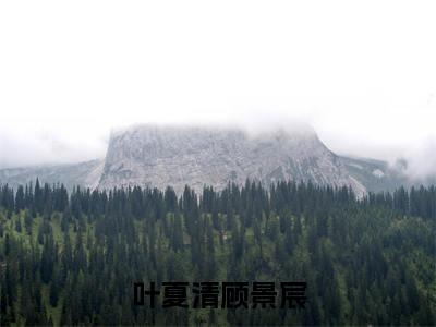 叶夏清顾景宸(叶夏清顾景宸)全文免费阅读无弹窗大结局_(叶夏清顾景宸)最新章节