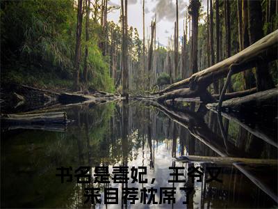 白九凝北辰临渊（毒妃，王爷又来自荐枕席了）全文免费阅读_（白九凝北辰临渊）毒妃，王爷又来自荐枕席了最新章节小说免费阅读_笔趣阁（白九凝北辰临渊）