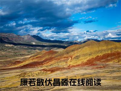 热度超高康若敏伏昌淼小说-小说完整版全文资源阅读