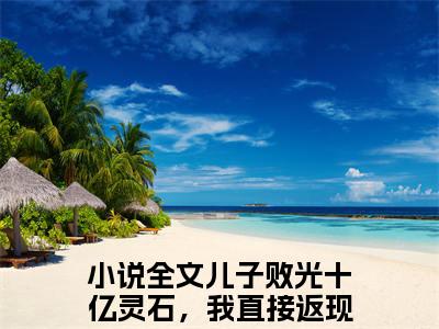 儿子败光十亿灵石，我直接返现成仙帝苏小明（儿子败光十亿灵石，我直接返现成仙帝苏小明）小说完整版阅读-儿子败光十亿灵石，我直接返现成仙帝苏小明小说全文免费阅读