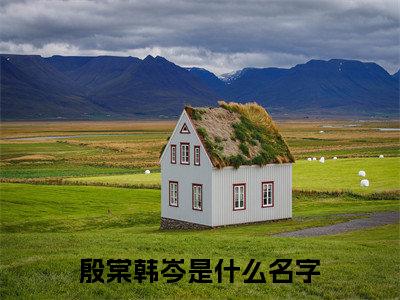 殷棠韩岑小说免费下载（殷棠韩岑完整全集已完结大结局小说）_殷棠韩岑免费阅读