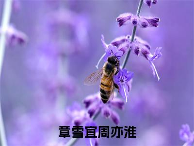 章雪宜周亦淮全文免费阅读_（章雪宜周亦淮免费阅读无弹窗）章雪宜周亦淮最新章节列表