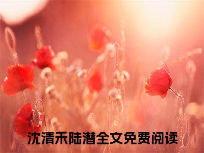 阴鸷小狼狗，姐姐怎么又哭了小说（沈清禾陆潜）全文免费阅读无弹窗大结局_沈清禾陆潜小说最新章节列表_笔趣阁