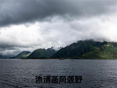 沐清菡风袭野正版小说强推沐清菡风袭野免费小说无弹窗