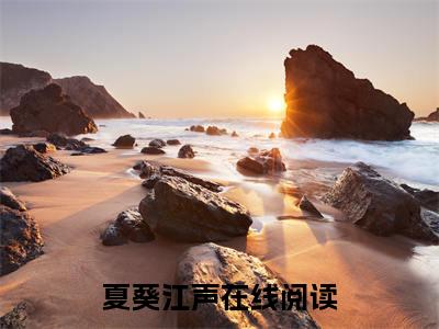 热推新书夏葵江声小说全文（夏葵江声）全文免费阅读_夏葵江声最新章节无弹窗阅读