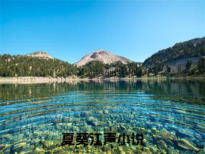 夏葵江声（夏葵江声）全文免费阅读无弹窗大结局_夏葵江声:夏葵江声最新章节列表_笔趣阁（夏葵江声）