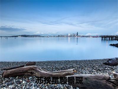 苏挽星顾景琛(顾景琛苏挽星)小说精彩免费内容_苏挽星顾景琛顾景琛苏挽星最新章节全文阅读（顾景琛苏挽星）