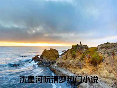 沈星河阮清梦（沈星河阮清梦）全文免费阅读无弹窗大结局小说-沈星河阮清梦最新章节阅读