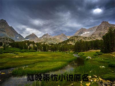 陆晚秦忱小说免费阅读-陆晚秦忱最新章节小说阅读-笔趣阁