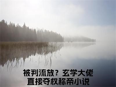 被判流放？玄学大佬直接夺权称帝（谢绾宁萧景衡）全文免费阅读无弹窗大结局_（被判流放？玄学大佬直接夺权称帝全文免费阅读无弹窗）最新章节列表_笔趣阁