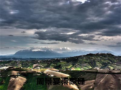 周景宴秦雨珊小说全文大结局-周景宴秦雨珊（周景宴秦雨珊）小说全文免费阅读