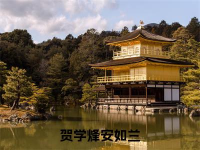 小说免费阅读-抖音新书热荐贺学烽安如兰
