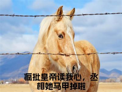 徐宁卿君瑾策小说最新试读_(疯批皇帝读我心，丞相她马甲掉啦免费阅读最新章节列表)_笔趣阁
