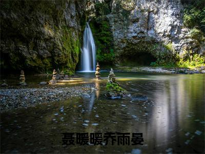 灰灰狂宠（聂暖暖乔雨晏小说）全文免费阅读无弹窗大结局_灰灰狂宠完整版小说阅读（聂暖暖乔雨晏小说）