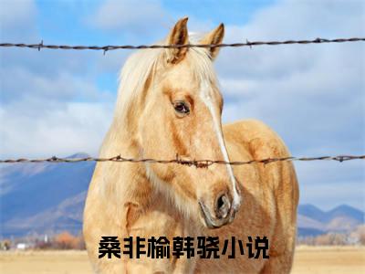 桑非榆韩骁(桑非榆韩骁)全文免费阅读无弹窗大结局_(桑非榆韩骁)免费阅读无弹窗最新章节列表