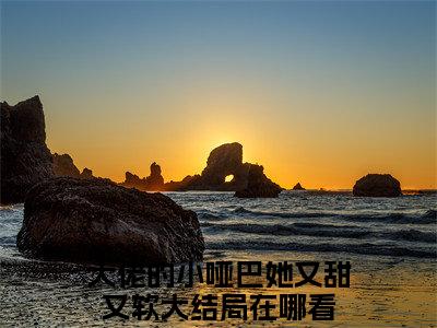 大佬的小哑巴她又甜又软全文免费阅读无弹窗大结局_ （阮栀盛淮景完结）大佬的小哑巴她又甜又软小说最新章节列表