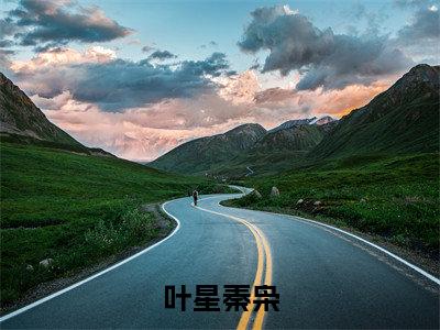 枭爷，叶小姐又来求婚了（叶星秦枭）免费小说-枭爷，叶小姐又来求婚了小说完整版阅读