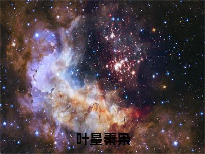 枭爷，叶小姐又来求婚了叶星秦枭全文完整版-叶星秦枭小说在线阅读