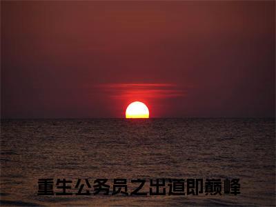 重生公务员之出道即巅峰（赵殳岩）全文免费阅读无弹窗大结局_重生公务员之出道即巅峰全文在线阅读无弹窗