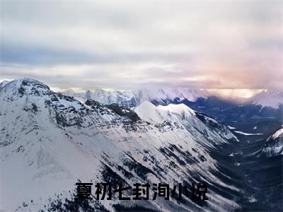 夏初七封洵（夏初七封洵）全文免费阅读无弹窗大结局_夏初七封洵免费最新章节列表_笔趣阁