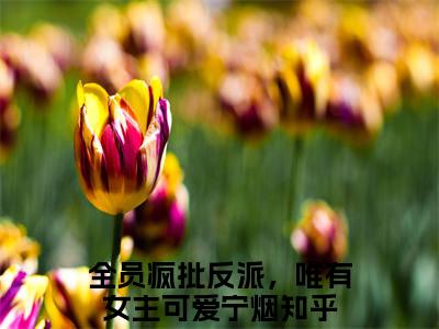 全员疯批反派，唯有女主可爱宁烟全文免费阅读无弹窗大结局-全员疯批反派，唯有女主可爱宁烟在线阅读