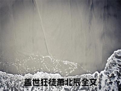 盖世狂徒萧北辰(盖世狂徒萧北辰小说)最新在线阅读_盖世狂徒萧北辰小说免费阅读