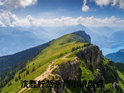 小说（沈鹿柠贺京川）_沈鹿柠贺京川全文阅读_沈鹿柠贺京川免费阅读大结局