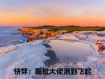 快穿：疯批大佬浪到飞起（司锦）全文免费阅读无弹窗大结局_（司锦）章节列表_笔趣阁