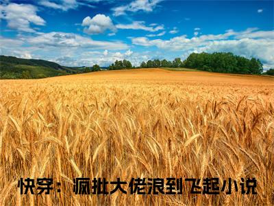 快穿：疯批大佬浪到飞起:司锦（司锦）全文免费阅读无弹窗大结局_快穿：疯批大佬浪到飞起:司锦免费阅读