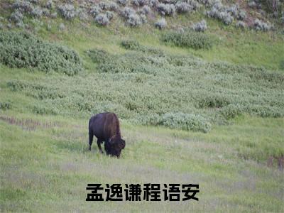 孟逸谦程语安（孟逸谦程语安）全文免费阅读无弹窗大结局_孟逸谦程语安小说（孟逸谦程语安）最新章节列表笔趣阁（孟逸谦程语安）