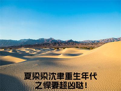 夏染染沈聿小说全文免费阅读大结局-重生年代之悍妻超凶哒！最新章节列表免费阅读