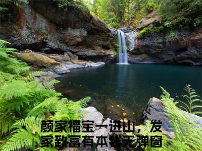 婉婉全本小说无弹窗阅读-婉婉（颜家福宝一进山，发家致富有本钱）精彩热门小说