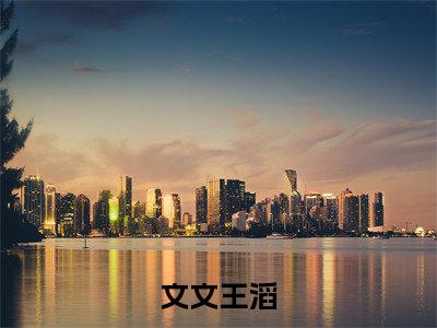 文文王滔小说全文免费阅读(文文王滔)全文免费阅读无弹窗_文文王滔小说全文免费阅读_笔趣阁(文文王滔)