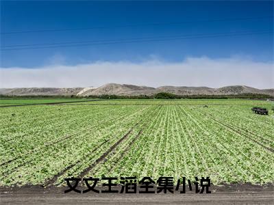 文文王滔(王滔文文)全文免费阅读大结局_(王滔文文免费阅读)文文王滔全文在线完本阅读