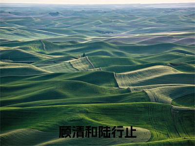 顾清和陆行止小说（顾清和陆行止全文完整版免费阅读）_顾清和陆行止小说免费最新章节列表_笔趣阁