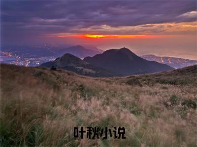 叶秋（闭世五年，下山已无敌）全文免费阅读无弹窗大结局_闭世五年，下山已无敌完整版小说阅读（叶秋）